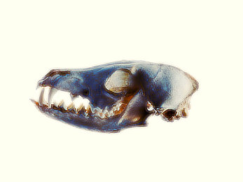 黄色大全APP：霓虹轨迹，极速狂飙的视觉盛宴-1