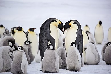 60岁近相祖母六十路最新消息：经典赛车游戏重制版即将上线，全新生涯模式与动态天气系统登场