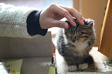 国精产品永久一区一区：华夏极速飞驰，城市赛道风云录