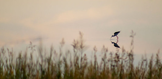 2023黄色软件下载：硬核竞速新作登场，数字化调校界面引领真实驾驶革命-1