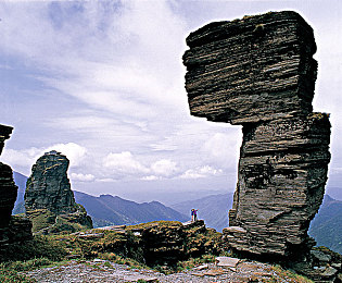 朋友换娶妻后相处的6个阶段：家族权杖与情感契约的博弈之路