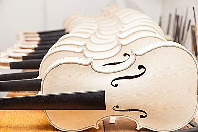 人妻奶水：生命能量循环，家庭生态经营模拟