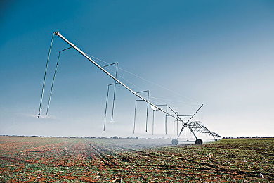 爱情岛社区：方向盘转动心动信号，浪漫座驾开启虚拟邂逅之旅