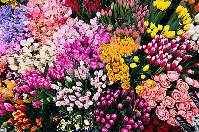 美女上网站：虚拟偶像飞驰于数字地平线的星光赛道