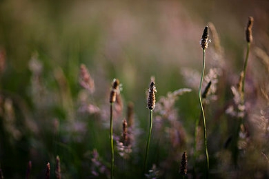 黄色软件app3.0.3：极速代码3.0.3版本藏玄机，彩蛋触发可获稀有隐藏赛车-2