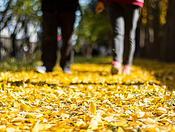 明星换脸赵丽颖高清：国民偶像化身赛道搭档，虚拟竞速新作开启沉浸驾驶体验