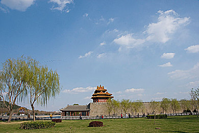 9色 首页：驾驭色彩能量，在极限调色师中竞速征服赛道