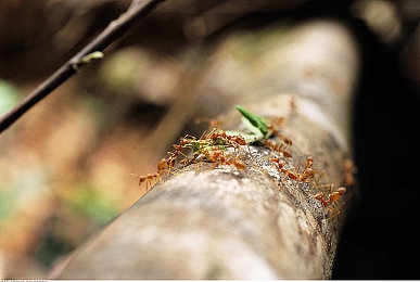 404款禁用观看：极限车手隐藏车库揭秘，都市传说背后的终极座驾-1