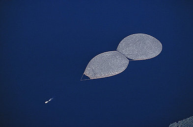 国产AV电影院：极速影院今日上线，国产性能车虚拟飙车新体验