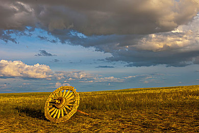 免费剧烈运动扑克视频软件：极速狂飙，卡牌赛道上的策略竞速之旅