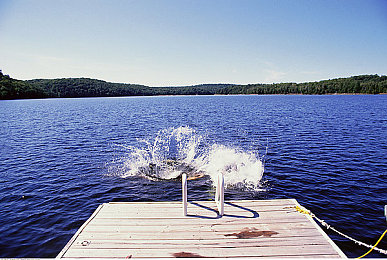 双手攀上两团少女峰比喻爱情：极限竞速地平线新攻略，征服蜿蜒山道体验速度与情感的巅峰之旅