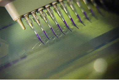 火影成人18：疾风意志注入钢铁躯壳，硬核竞速新作颠覆忍者改编