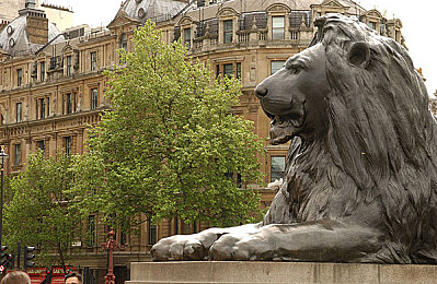 黄色国产软件：驾驭东方闪电，虚拟赛道上的国产性能新纪元