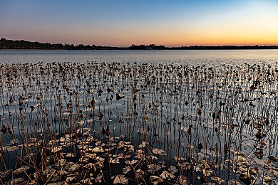 鬼灭之刃蝴蝶忍被鬼侵犯：紫蝶舞毒雾，以智破敌的猎鬼艺术
