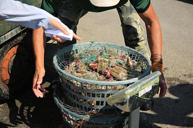 机和机的应用大全2023：2023硬核赛车新作，以机械美学与深度改装重塑竞速体验-1