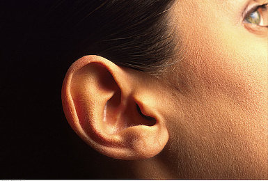 爱情岛论坛国产：国产车文化新游上线，速度改装与社交恋爱融合引爆虚拟社区