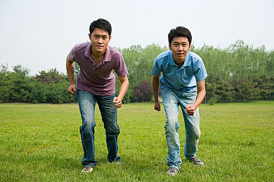 猫咪成人网：萌宠竞速新游，虚拟赛道上的喵星车手之旅