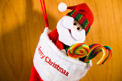 魅影看b站直播有什么好处吗：竞速之眼，观赛洞见，直播进阶驾驶艺术