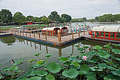 女生和男生差差差很痛app：疾风竞速，差异与痛感的驾驭艺术