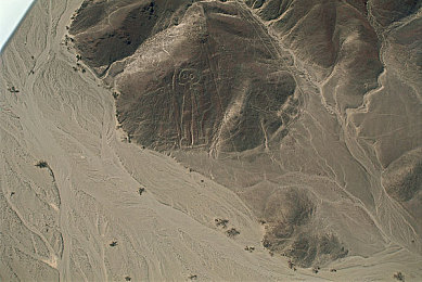 火辣富利导航:极速抉择,智慧领航,财富赛道竞逐巅峰-1