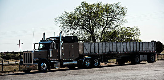 免费看黄的软件：墨西哥暮色驰骋，地平线永不落幕的追光之旅