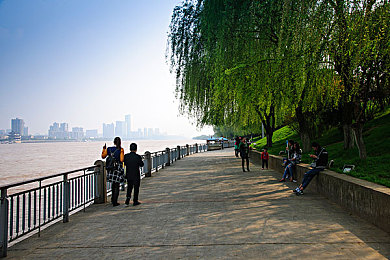 国产91精品一区：极限竞速地平线全新攻略，三步打造顶级梦幻车辆收藏