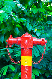 火影忍者禁漫：疾风赛道传奇，忍术竞速引爆全新驾驶体验