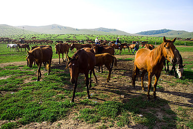干逼的软件：硬核调校系统引爆玩家热议，这款赛车游戏让改装变成一门科学