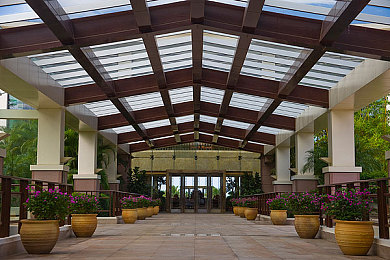 东京热成人网站app:霓虹夜幕下的疾驰,都市迷踪中的追迹-1