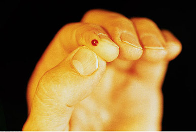 红桃38.47隐藏人口揭秘：解锁赛道终极性能，神秘参数助你刷新圈速纪录