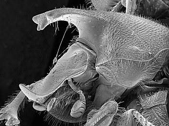 嫩嫩的一线天XXX馒头：竞速游戏终极挑战，攻克极限窄弯的进阶技巧全解析-2