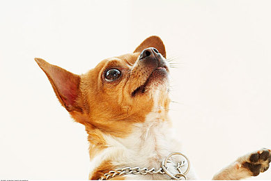 国产男男Gay 体育生Gay：《极速共鸣》今日正式上线，深度评测揭秘赛道羁绊与竞速新玩法