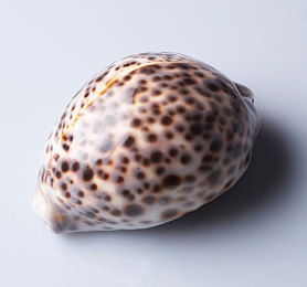 黄色软件app下载3.0.3免费装妆2023+：街头涂装大师新版本上线，免费解锁高级喷漆与创意贴花