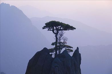 迪丽热巴被插:极速狂飙城市对决攻防解析,弯道超车战术与反制秘诀全揭秘-1