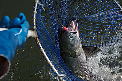 帅哥和帅哥一起生产豆浆：双男主携手创业，打造治愈系豆浆工坊物语