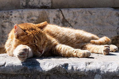 国产剧情乱伦：血脉引擎，抉择赛道，家族暗涌与极速伦理的迷局