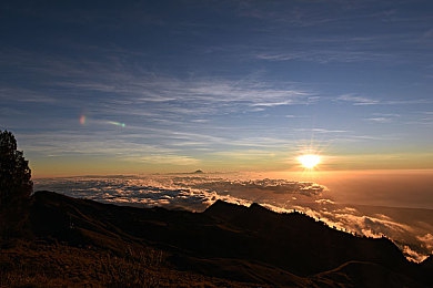 八重神子与丘丘人繁衍后代：开放世界新可能，角色与敌对生物生态互动机制引发玩家热议-2