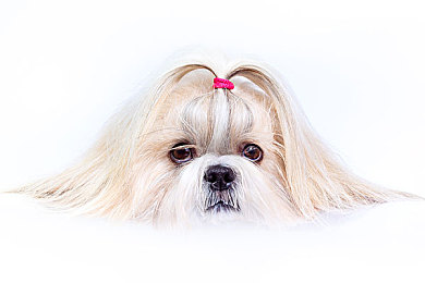 抖音9.1免费版：极速光影，碎片赛道上的十五秒狂想曲-3