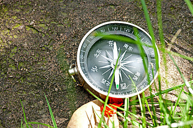 英语老师让我吵：轰鸣的艺术，在地平线5中调校你的速度交响曲