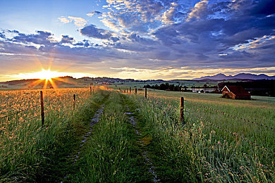 vivo黄色软件大全：都市闪电战今日公测，移动竞速新标杆三大核心攻略揭秘-2