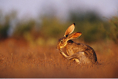 91、CPm：极限驾驶的艺术，在虚拟赛道追逐完美圈速