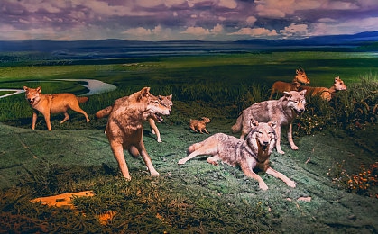 男同：双人协同赛车游戏同步狂飙，极致默契挑战竞速新维度-1