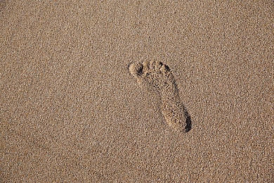 色淫综合:霓虹都市极速狂飙,赛博朋克赛车新作颠覆视觉体验-2
