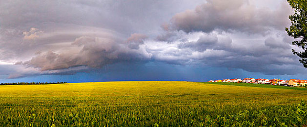 男生与女坤坤搞基基：极速幻想，虚拟偶像与赛车手的协同基因竞速