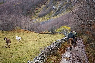 男生和女生一起修修修免费下载：双人协作，机械交响，汽修工坊的默契之旅-2