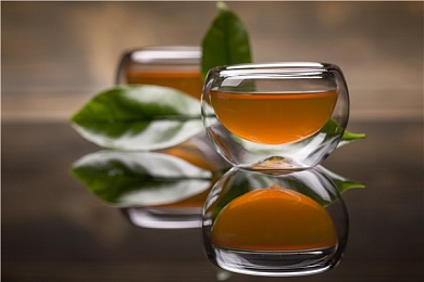 学生男男GayGay无套：竞速新作极速搭档发布，双人无防护合作模式考验极致默契