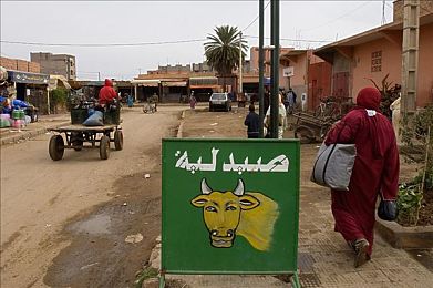黄色链接入口：探秘赛博都市，暴雨夜追逐传奇超跑