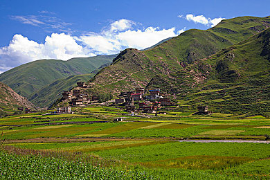 乔巴罗宾发琴2d彩绘2d和3D哪个好：海贼王音游画风革新，手绘与立体之争今日引爆玩家社区-2