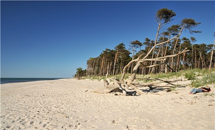 下载3.0.3每天无限免费：《极限竞速街头狂飙》新版取消体力限制，永久免费畅玩核心赛事