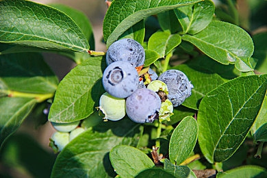 美女裸体APP：《极速幻影：定制大师》今日上线，重塑赛车游戏视觉与改装新标杆-2